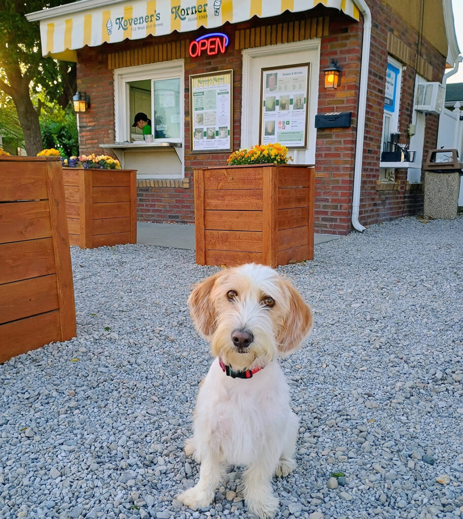Myles at the ice cream shop