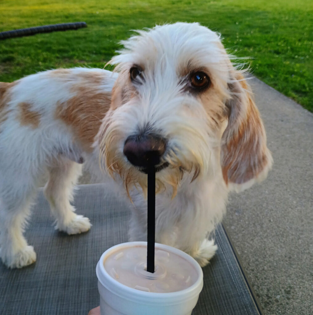 Myles & his milkshake