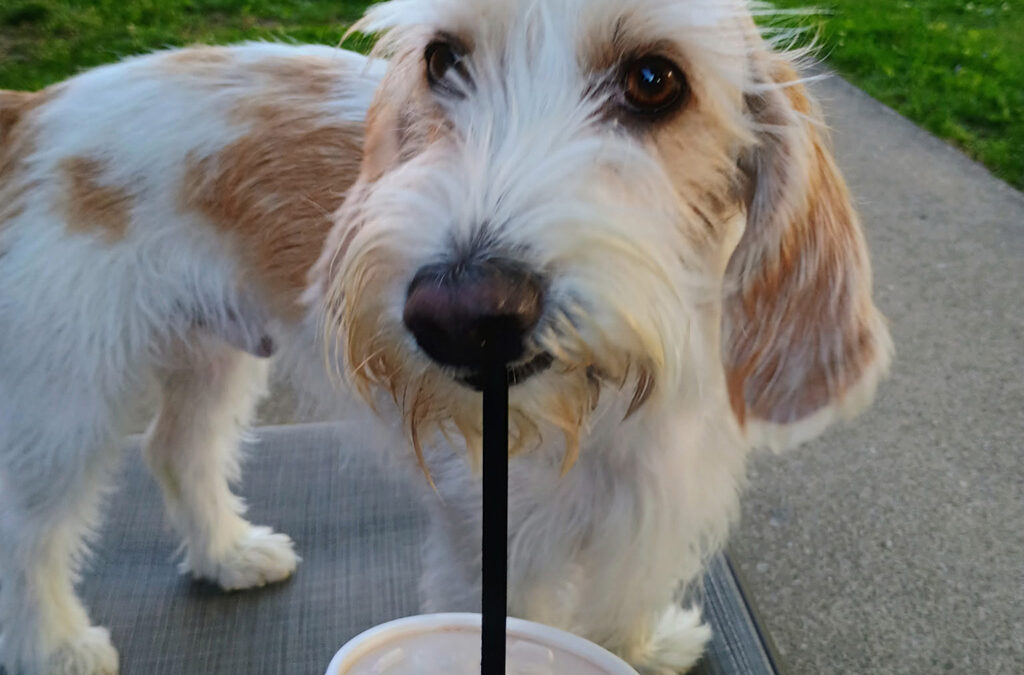 Myles gets the sweetest treat!