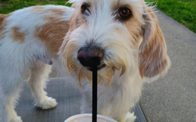 Myles gets the sweetest treat!