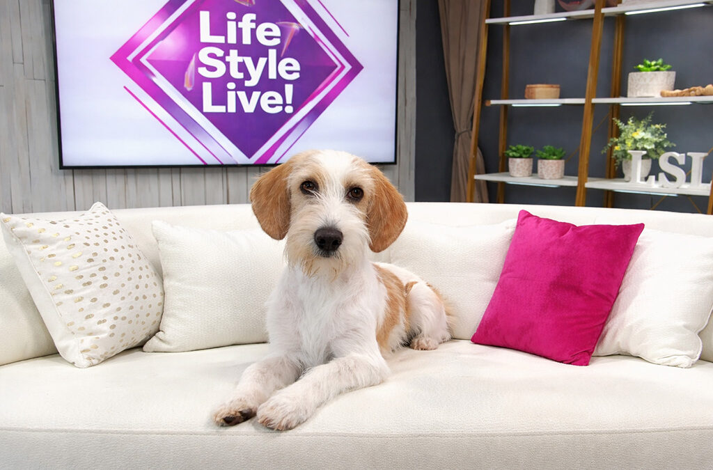 Myles on Life Style LIVE on WISH TV