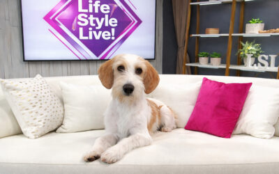 Myles on Life Style LIVE on WISH TV