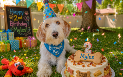 Happy 2nd Birthday, Myles! 🐾🎂