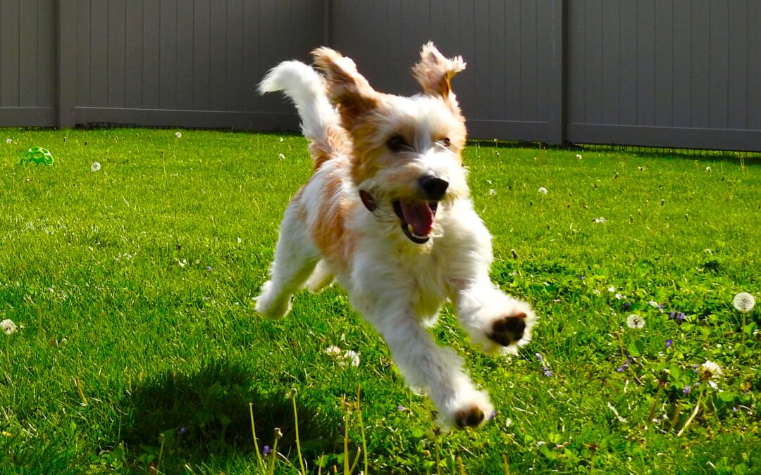 Weekend mode: Unleashed!