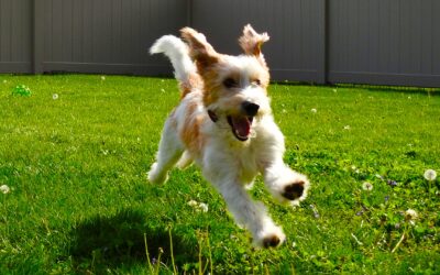 Weekend mode: Unleashed!