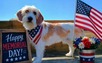 Patriotic Pup’s Memorial Day Tribute
