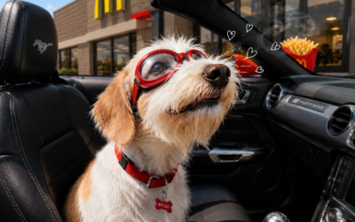 French Fries and Myles’ Drive-Thru Surprise