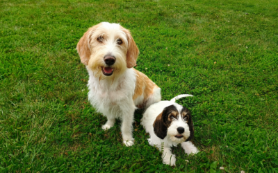 Promoted to Big Brother: Myles Welcomes His New Sidekick!